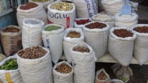 Aslanoğlu Zahirecilik