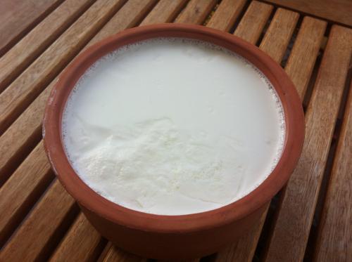 Başpınar Süt Ürünleri