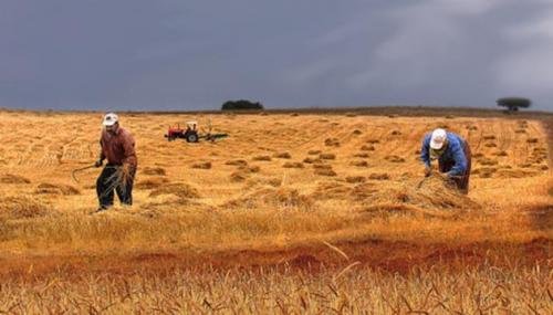 Devecioğlu Ltd. Şti.