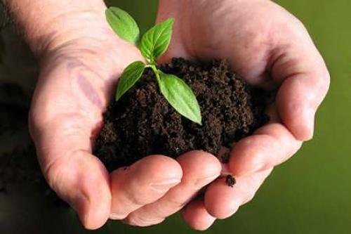 Günaydınlar Gübre