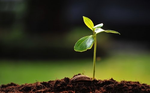 Hekimhan Tarım İlçe Müdürlüğü