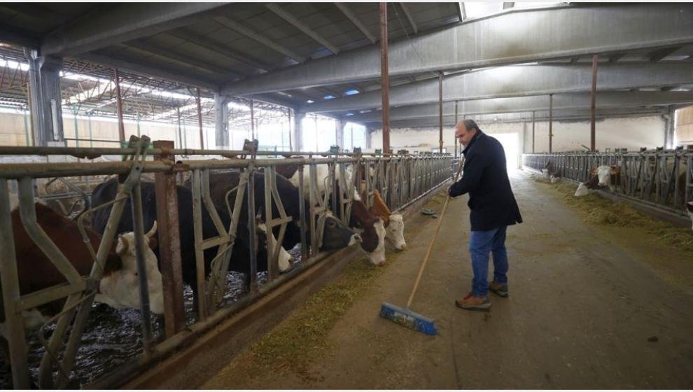 Ulaşamayacağımız Kalitede Hayvanları Bize Getirdiler